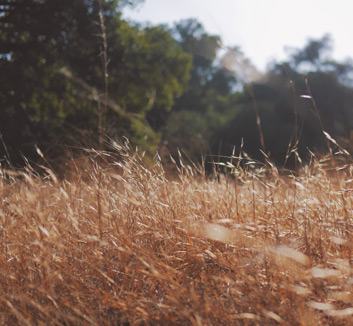 重庆队客场爆冷击败上海，引发热议