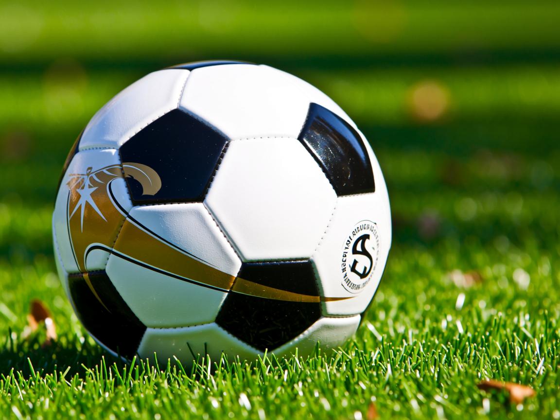 爱游戏体育app-“世界武术冠军巅峰对决,高新体育中心剑拔弩张” 第3张