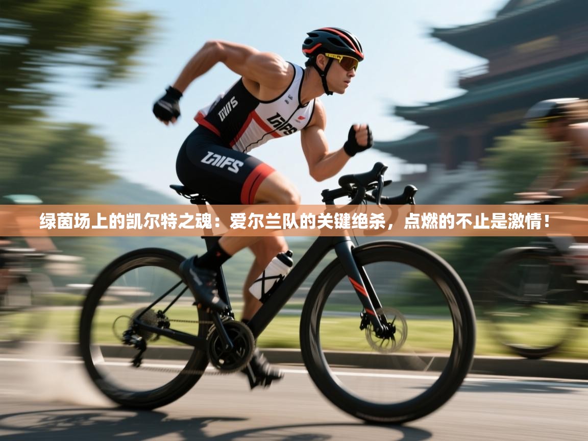 绿茵场上的凯尔特之魂:爱尔兰队的关键绝杀,点燃的不止是激情! 第2张