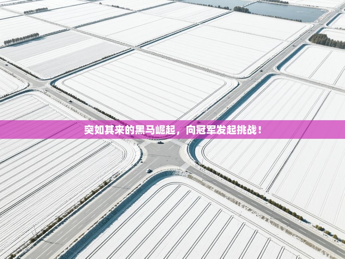 突如其来的黑马崛起，向冠军发起挑战！  第2张